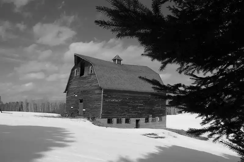 Old Homestead Barn